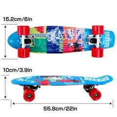 Ván trượt Skateboard Nhật Bản Cruiser Mini RANGS JAPAN 4936560106486