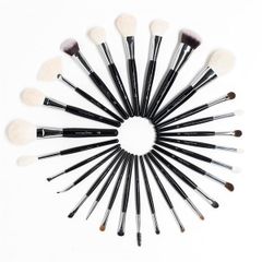 Bộ cọ trang điểm cá nhân 12pc missie by Celin