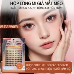 Mi giả sợi mlen 48 mi mắt mèo nhỏ