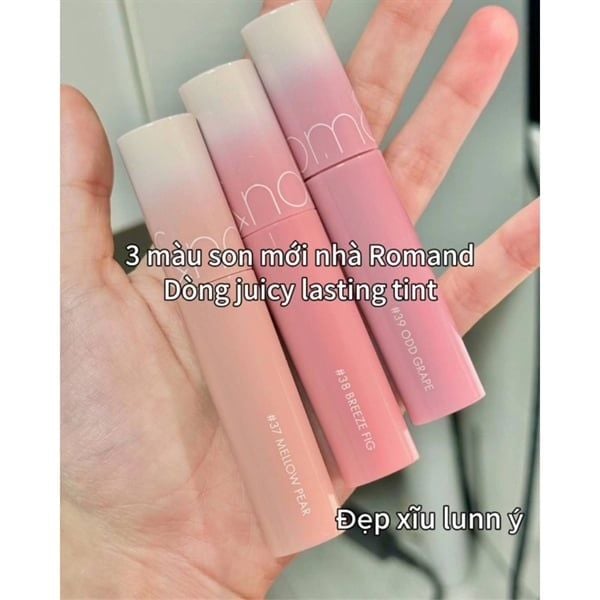 Son Romand juicy lasting tint #38 breeze fig