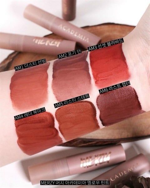 Son Kem Lì Merzy Academia Mellow Tint #am6