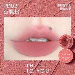 Son Kem Lì INTO YOU Shero Super Matte Lip & Cheek Mud PD02