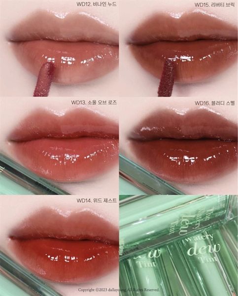 Son Tint Bóng Dạng Thạch, Bền Màu, Lâu Trôi Merzy The Watery Dew Tint 4g