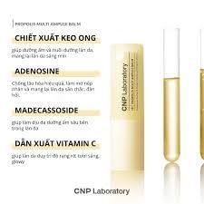 Son dưỡng thỏi CNP Propolis Multi Ampule Balm 7g -Thanh Lăn đa năng