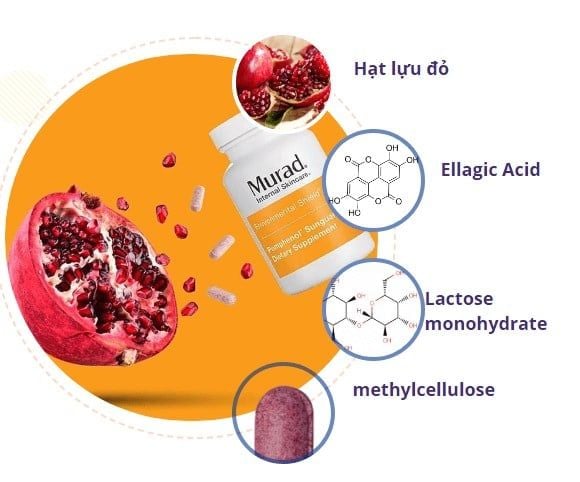 Viên Uống Chống Nắng Nội Sinh Murad Pomphenol Sunguard Dietary Supplement Mỹ 60 Viên