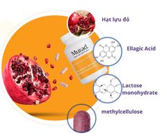 Viên Uống Chống Nắng Nội Sinh Murad Pomphenol Sunguard Dietary Supplement Mỹ 60 Viên