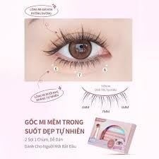 Mi giả Mlen diary natural lower eyelashes