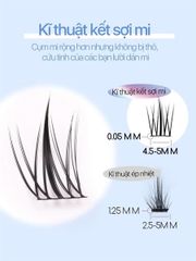 Mi giả Mlen Diary Hướng Dương (hộp nhỏ)
