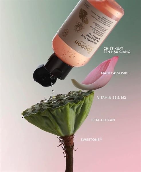 Nước hoa hồng Cocoon Hau Giang Lotus Soothing Toner 310ml🍃