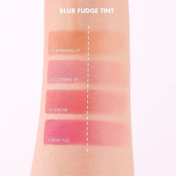 Son Kem Lì, Lên Màu Chuẩn, Mịn Môi Romand Blur Fudge Tint 5g