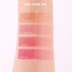 Son Kem Lì, Lên Màu Chuẩn, Mịn Môi Romand Blur Fudge Tint 5g