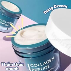 kem dưỡng ẩm Innishfree collagen peptide firming ampoule cream