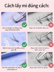 Nhíp gắn mi Mlen Diary