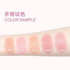 Má Hồng Into You Air Cushion Blush #CB02