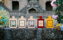 Nước Hoa Gucci Bloom Profumo Di Fiori EDP