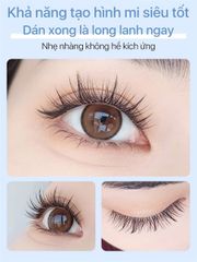 Mi giả Mlen Diary Hướng Dương (hộp nhỏ)
