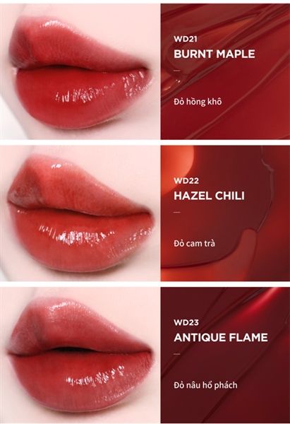 Son Tint Bóng Dạng Thạch Merzy The Watery Dew Tint 4g #21