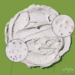 MẶT NẠ ĐẤT SÉT BEPLAIN MUNG BEAN PORE CLAY 120ML