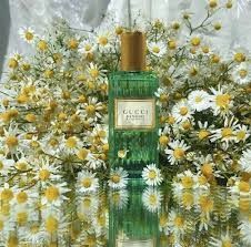 Nước Hoa Unisex Gucci Memoire D’une Odeur EDP 5ml