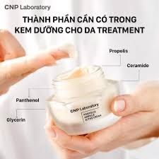 Kem dưỡng keo ong CNP Laboratory Propolis Ampule Active Shot Cream 50g