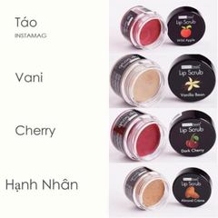 Tẩy tế bào chết môi Beauty Treats Lip Scrub #vani