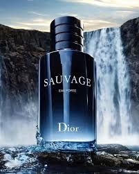 Nước Hoa Nam Dior Sauvage Eau Forte Parfum 100ml