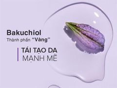 Kem Dưỡng Săn Chắc Làn Da Derma Factory Bakuchiol 1% Cream 30g