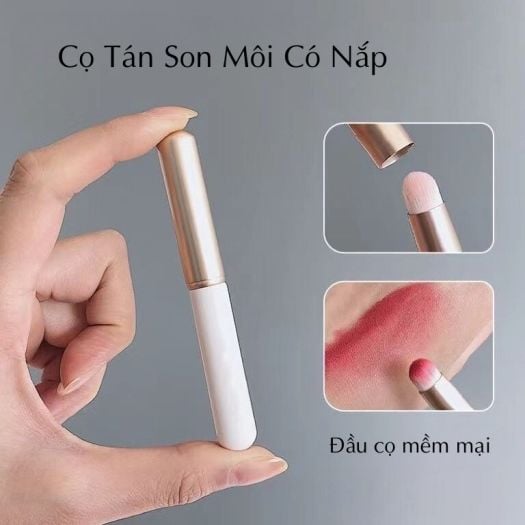 Cọ tán son đầu tròn có nắp đậy