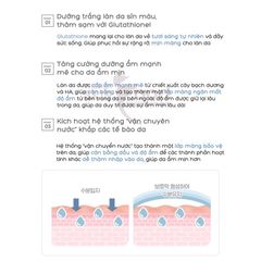 Nước Hoa Hồng Dưỡng Trắng Da Sur.Medic+ Super Glutathione 100 Bright Skin 145ml