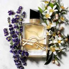 Nước hoa Yves Saint Laurent Libre Eau de Parfum