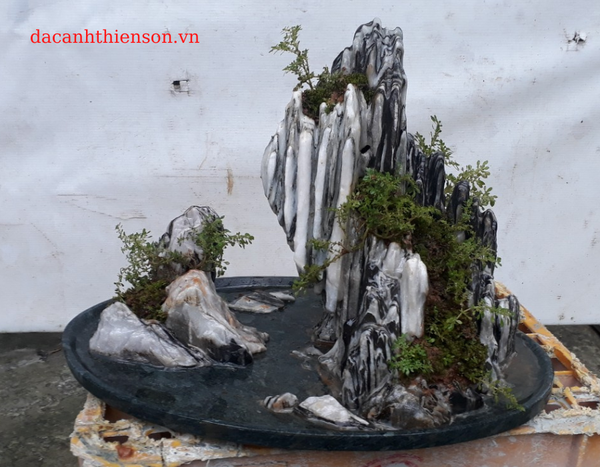 Tiểu cảnh sản phẩm 01
