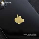  Skin iPhone | PPF Gloss Black 