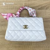  Dán Túi Chanel Coco Handle Bag All Size 