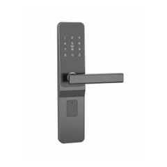 Khóa vân tay cửa gỗ H101