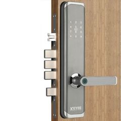 Khóa vân tay cửa gỗ Keyee WD08