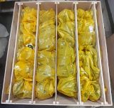  Màng Nhựa VCI 3D Lót Pallet RUST-X 