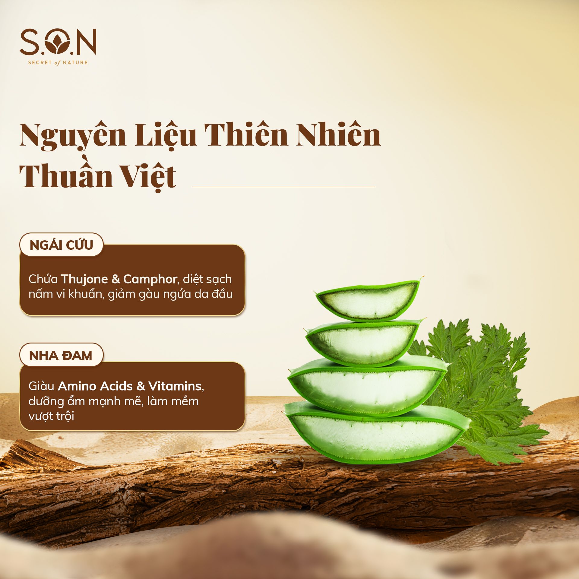  Dầu Xả S.O.N Ngải Cứu & Nha Đam 250ml/450ml 