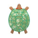  Ba lô cho bé /Kids Tortoise Novelty Backpack - Tortoise Bag - Green 