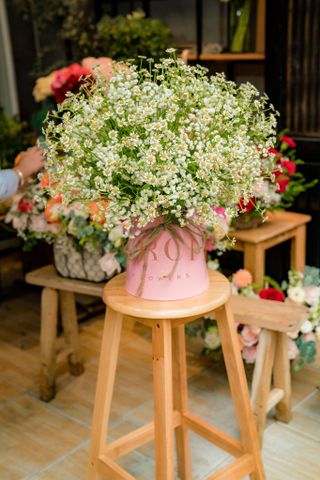 Hộp Hoa Sinh Nhật CúcTana Bibi A0229