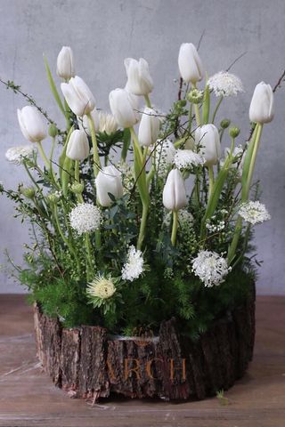 Hộp Hoa Chúc Mừng Sinh Nhật Tulip trắng A0177