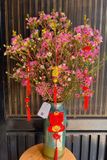 Bình Hoa Thanh Liễu Hồng Tết TB005