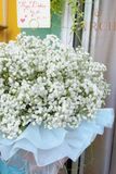 Hộp Hoa Bibi Tặng 8-3 HH037