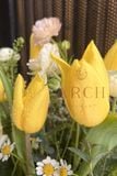 Hộp Hoa Chúc Mừng Sinh Nhật - Khai Trương Tulip Vàng HH 024