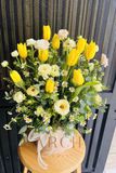 Hộp Hoa Chúc Mừng Sinh Nhật - Khai Trương Tulip Vàng HH 024