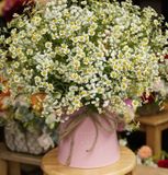 Hộp Hoa CúcTana Bibi Nhập A0131