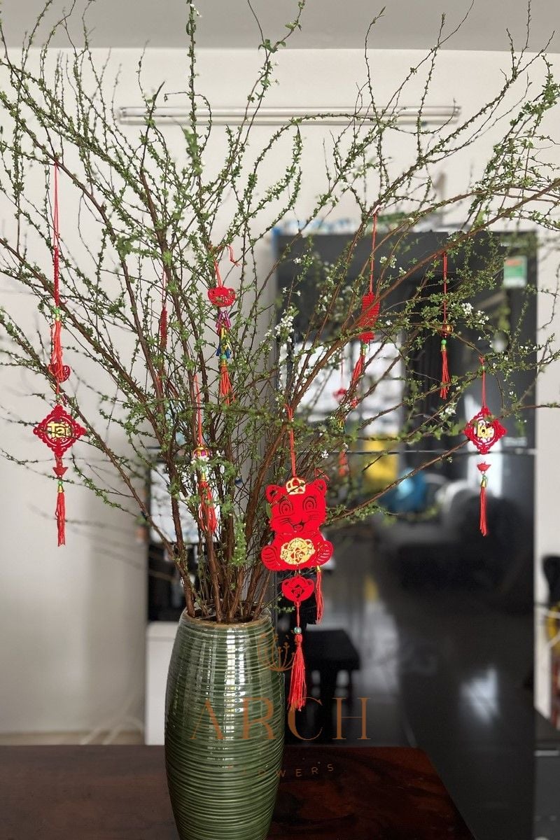 Bình Hoa Tuyết Mai Tết 
