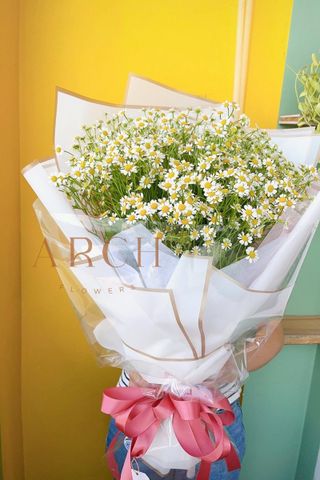 Bó Hoa Cúc Tana A071