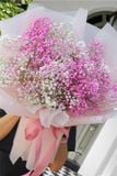 Bó Hoa Bibi Hồng Nhập 20-10 A021