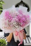 Bó Hoa Bibi Hồng Nhập 20-10 A021