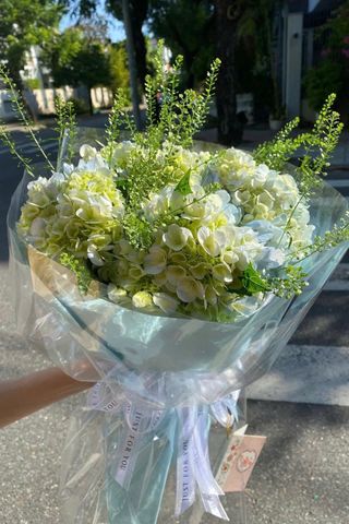 Bó Hoa Tú Cầu A0019